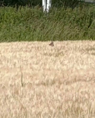 Watch Vladislava Shelygina's leaked NSFW video on TwXstars