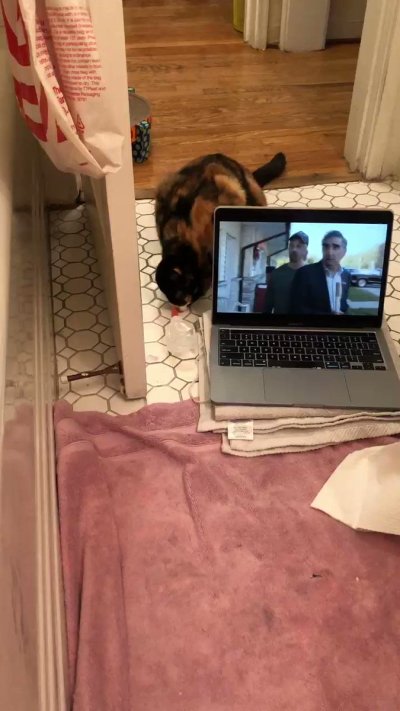 Watch Brooklyn Gray 🫀's leaked NSFW video on TwXstars