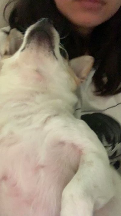 Watch Oxillery's leaked NSFW video on TwXstars