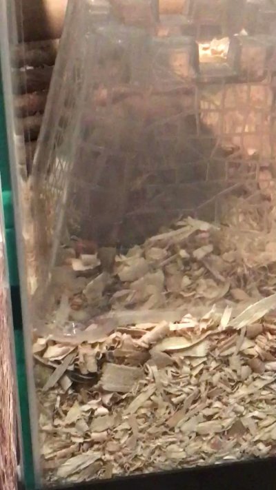 Watch erii's leaked NSFW video on TwXstars