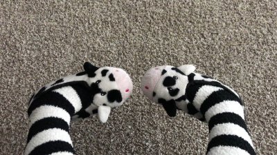 Watch erii's leaked NSFW video on TwXstars