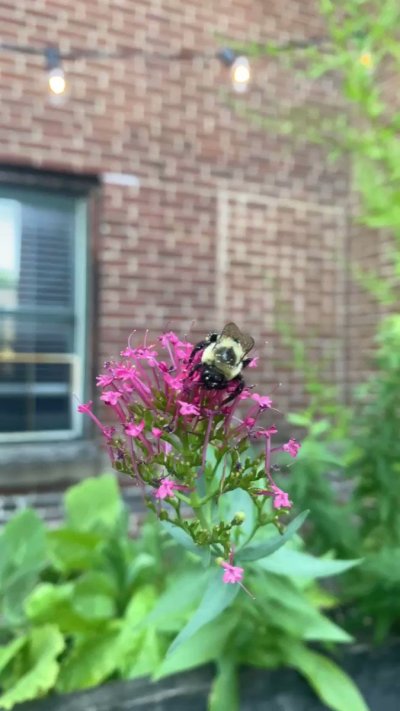 Watch awlivv's leaked NSFW video on TwXstars