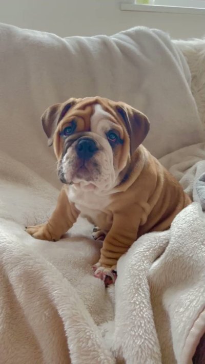 Watch Chloe's leaked NSFW video on TwXstars