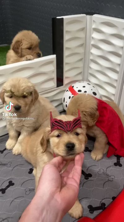 Watch eva's leaked NSFW video on TwXstars