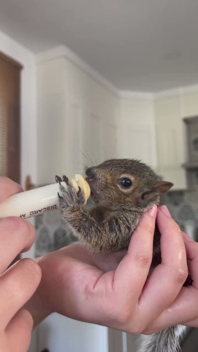 Watch Marley 🦁's leaked NSFW video on TwXstars