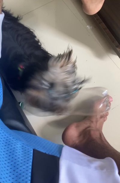 Watch ⚜️ ANTI-HERO ⚜️ (TORONTO/MONTREAL August 4 - 13)'s leaked NSFW video on TwXstars