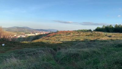 Watch Tina Fire's leaked NSFW video on TwXstars