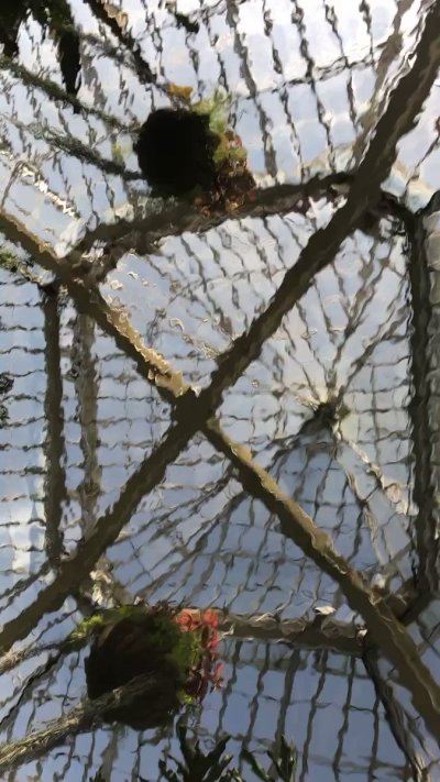 Watch Pittsburgh Domina Irene Boss's leaked NSFW video on TwXstars