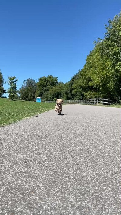 Watch dais's leaked NSFW video on TwXstars