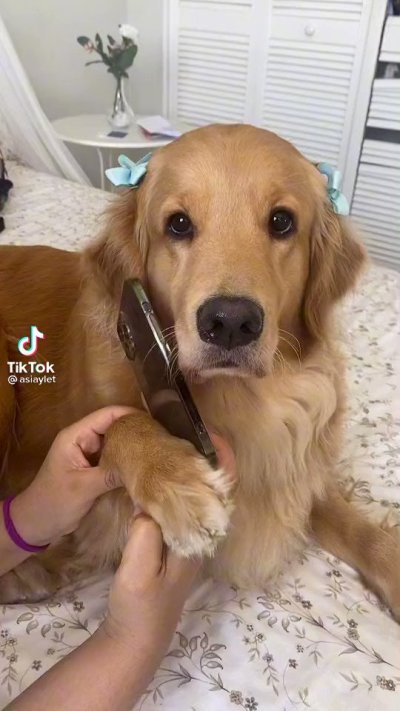 Watch Tokischa Peralta's leaked NSFW video on TwXstars