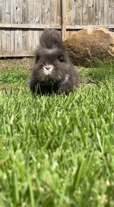 Watch minh ♡'s leaked NSFW video on TwXstars