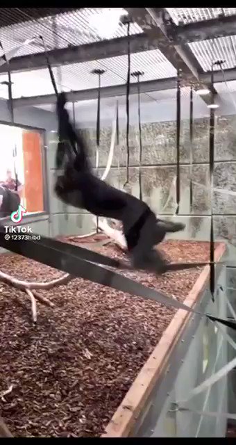 Watch jessa's leaked NSFW video on TwXstars