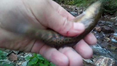 Watch Haber Tadında's leaked NSFW video on TwXstars