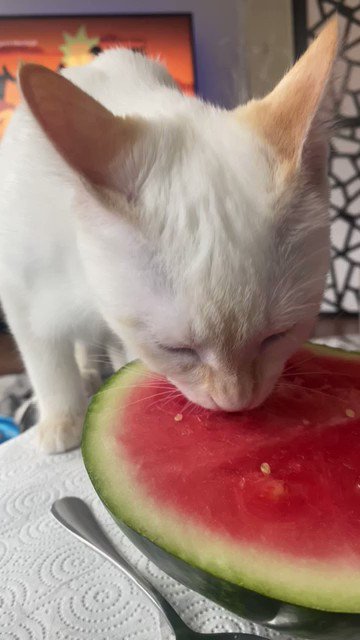 Watch Sarina Desiree's leaked NSFW video on TwXstars