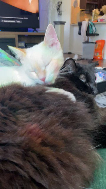 Watch Sarina Desiree's leaked NSFW video on TwXstars