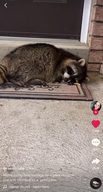 Watch Moo's leaked NSFW video on TwXstars