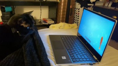 Watch jessa's leaked NSFW video on TwXstars