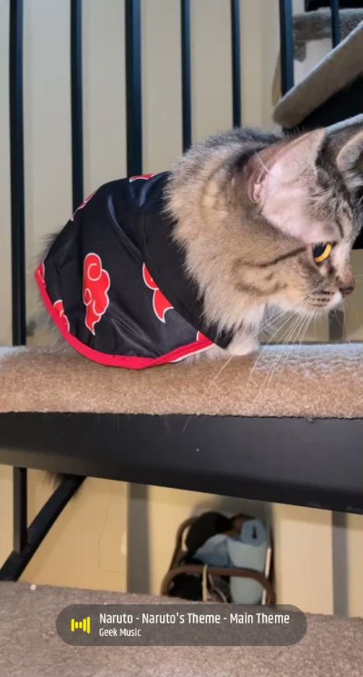 Watch Moo's leaked NSFW video on TwXstars