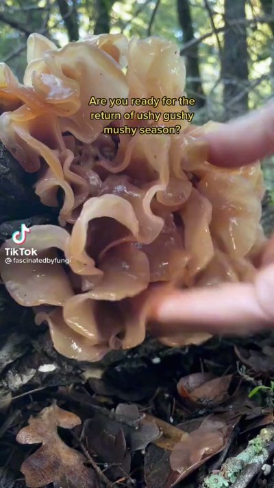 Watch DelilahMoonx 🌚's leaked NSFW video on TwXstars