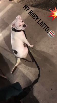 Watch Captain_Hook's leaked NSFW video on TwXstars