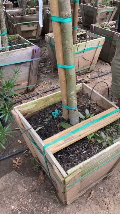 Watch Sarina Desiree's leaked NSFW video on TwXstars