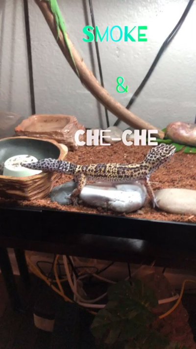 Watch Captain_Hook's leaked NSFW video on TwXstars