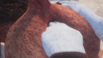 Watch WildLifeFurries's leaked NSFW video on TwXstars