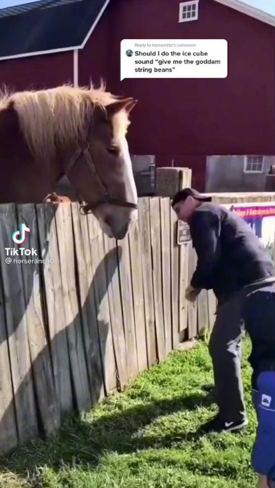 Watch Sharika Soal's leaked NSFW video on TwXstars