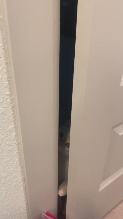 Watch Sarina Desiree's leaked NSFW video on TwXstars