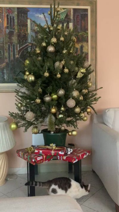 Watch Megan Inky 💜❤️❤️💜❤️💜's leaked NSFW video on TwXstars