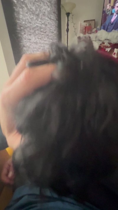 Watch 𝕁𝕠𝕙𝕟𝕟𝕪 𝔻𝕠𝕟𝕠𝕧𝕒𝕟's leaked NSFW video on TwXstars