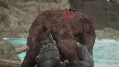 Watch WildLifeFurries's leaked NSFW video on TwXstars