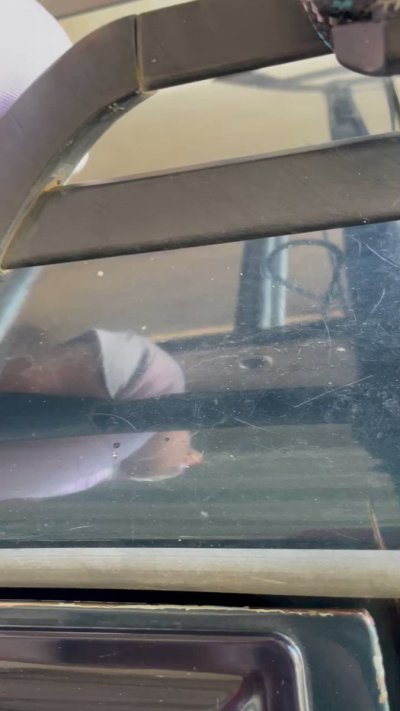 Watch Jônatas's leaked NSFW video on TwXstars