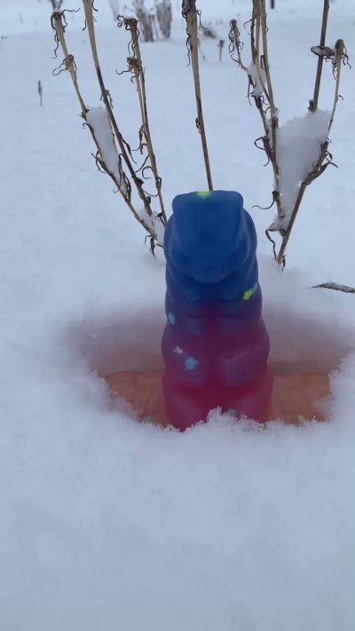 Watch ✨Xylana✨'s leaked NSFW video on TwXstars