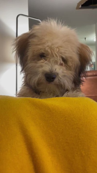 Watch Sabrina Lynn's leaked NSFW video on TwXstars