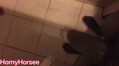 Watch HORNYHORSE's leaked NSFW video on TwXstars