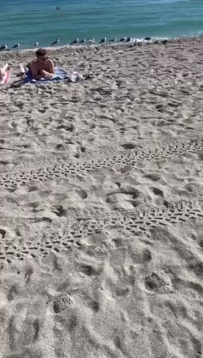 Watch Isabella Buscemi's leaked NSFW video on TwXstars