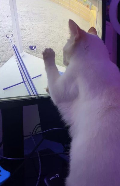 Watch Sarina Desiree's leaked NSFW video on TwXstars