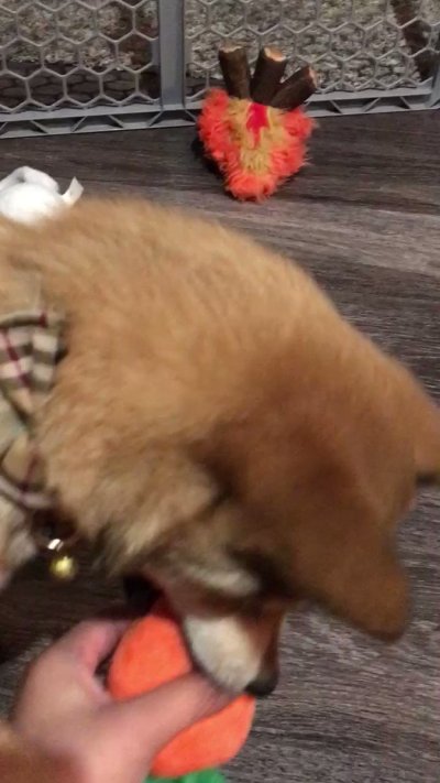 Watch erii's leaked NSFW video on TwXstars