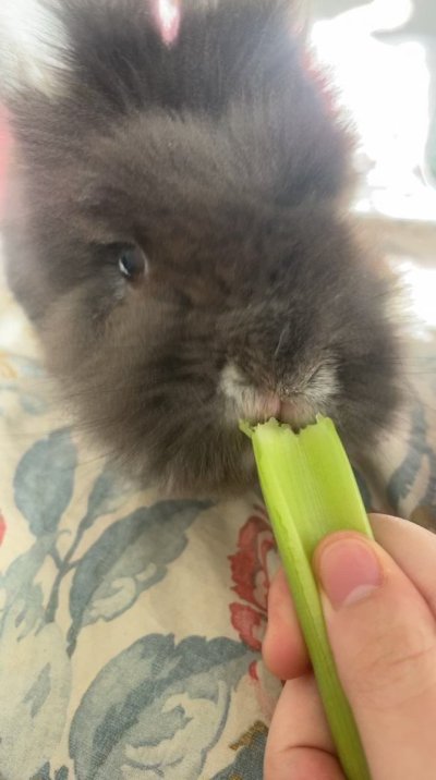 Watch minh ♡'s leaked NSFW video on TwXstars