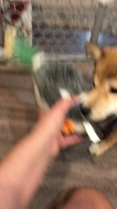 Watch erii's leaked NSFW video on TwXstars