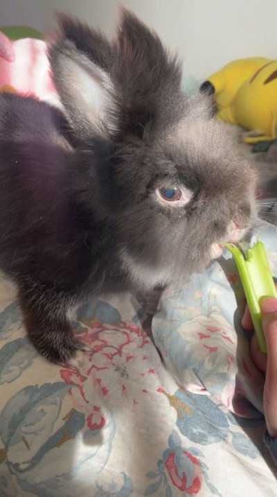 Watch minh ♡'s leaked NSFW video on TwXstars