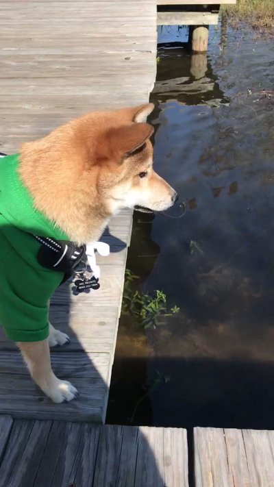 Watch erii's leaked NSFW video on TwXstars