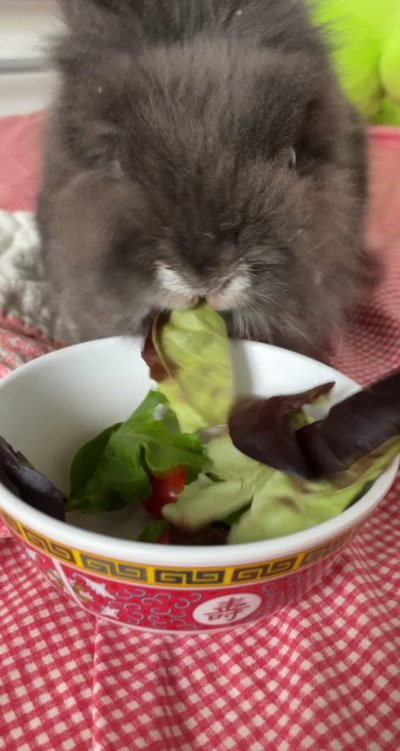 Watch minh ♡'s leaked NSFW video on TwXstars