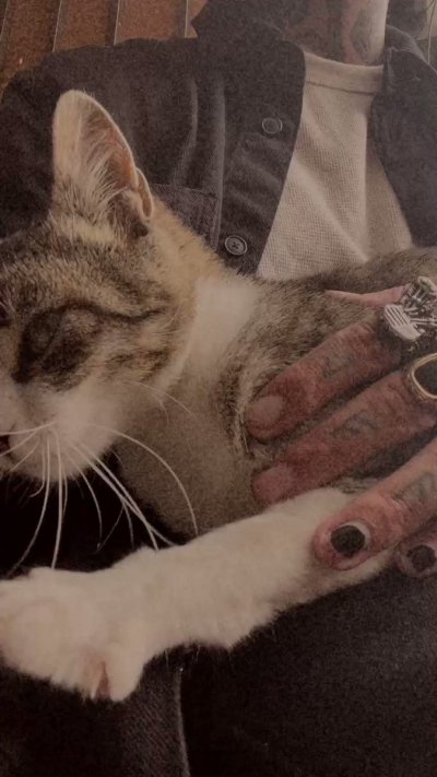 Watch yung north's leaked NSFW video on TwXstars