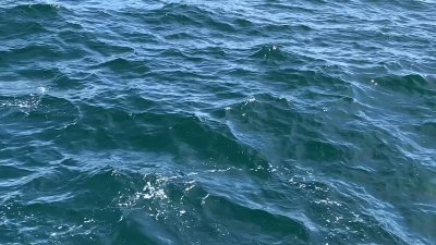 Watch #WhoreChata's leaked NSFW video on TwXstars