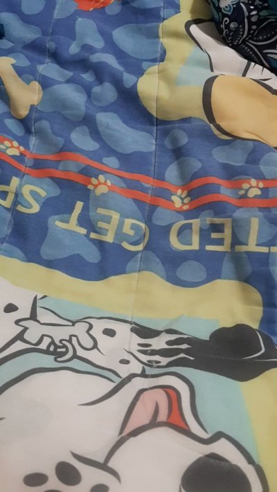 Watch Sofia Laru's leaked NSFW video on TwXstars