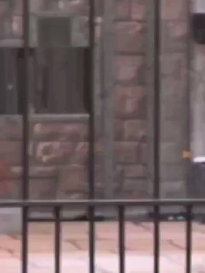 Watch Poonam Pandey's leaked NSFW video on TwXstars