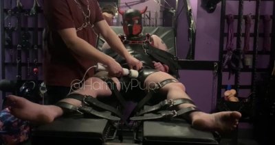 Watch Callie Wilcox's leaked NSFW video on TwXstars