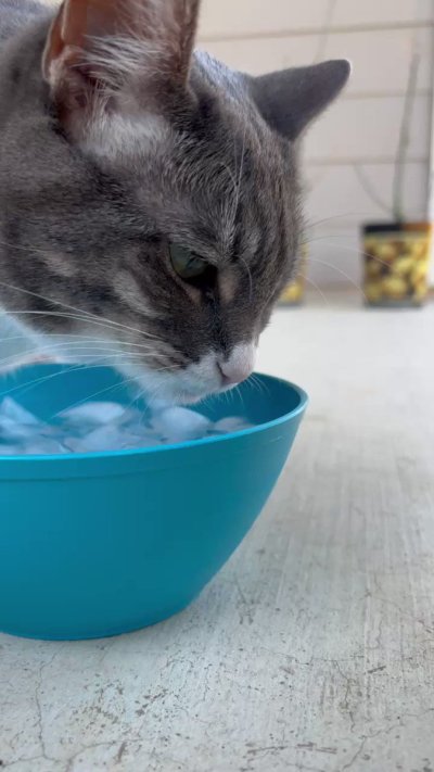 Watch Sarina Desiree's leaked NSFW video on TwXstars